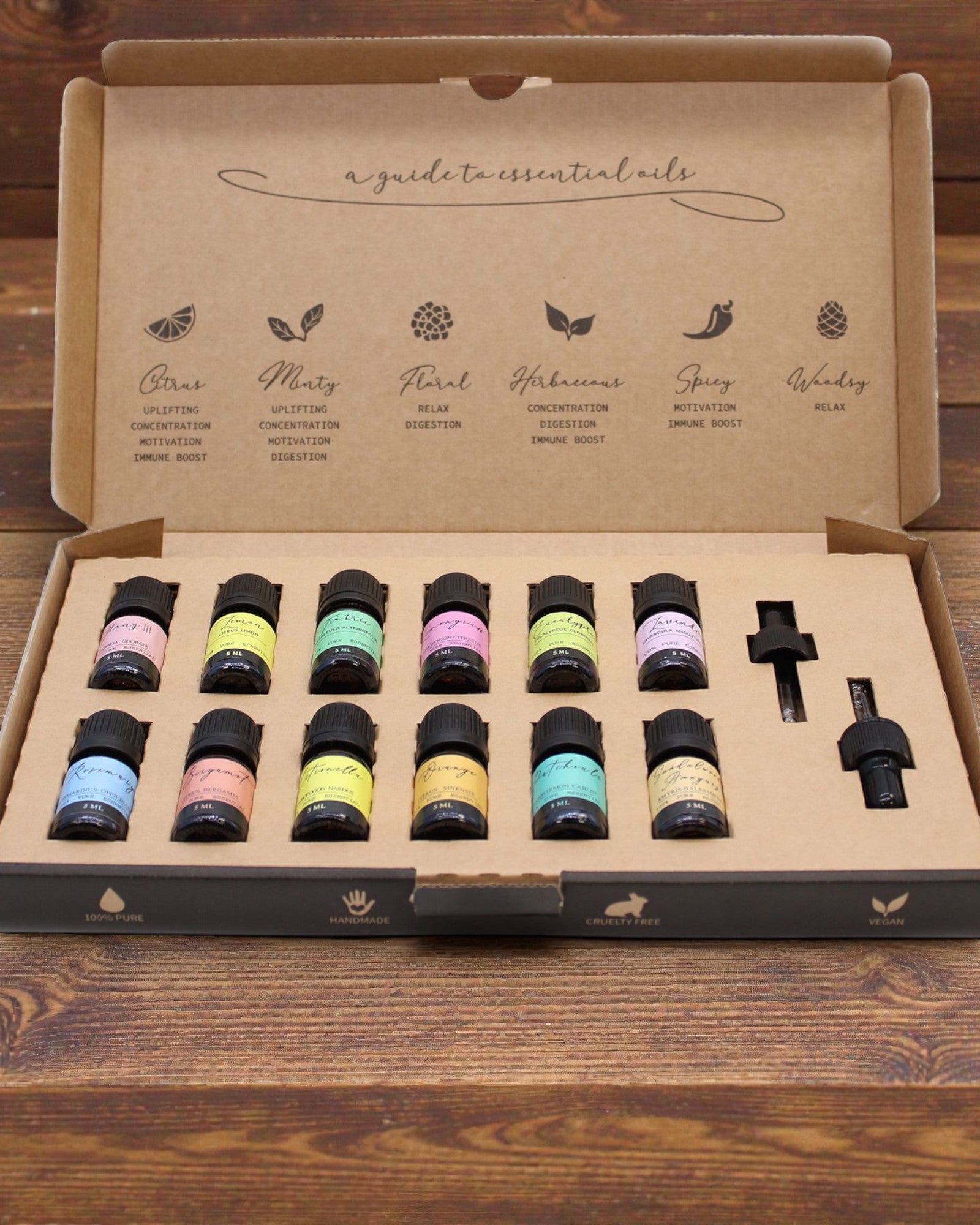 Essence of the World – Luxury Set of 12 Most Popular Essential Oils 5 ml with Droppers