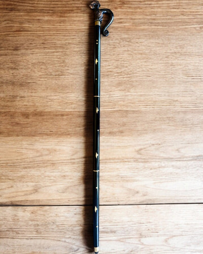 Walking Cane Dragon Guardian – personalization with engraving available for gift