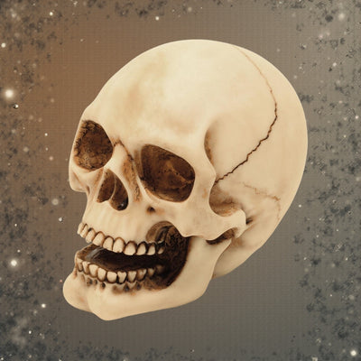 10 cm Skull Figurine with Custom Engraving – Hand-Painted Polyresin Gothic and Dark Style Decoration Gift