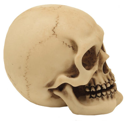 Lebka figurka model dekorace Halloween gadget dárek - MC-30683