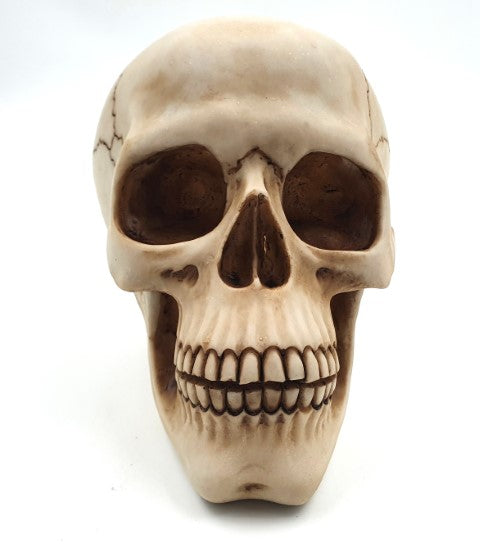 Dekorativní figurka lebka 15 cm - MC-30685