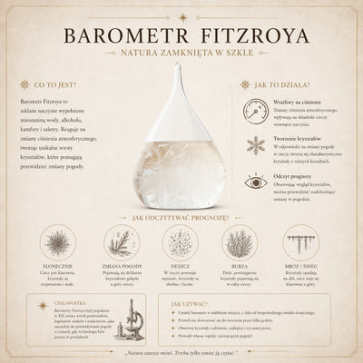 Fitzroyův bouřkový barometr globus - dekorace na stůl, gadget - BAW11003
