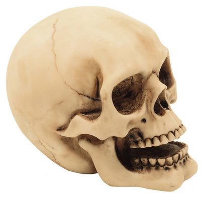 10 cm Skull Figurine with Custom Engraving – Hand-Painted Polyresin Gothic and Dark Style Decoration Gift