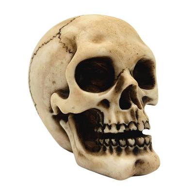 Lebka figurka model dekorace Halloween gadget dárek - MC-30683