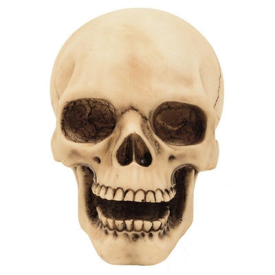 10 cm Skull Figurine with Custom Engraving – Hand-Painted Polyresin Gothic and Dark Style Decoration Gift