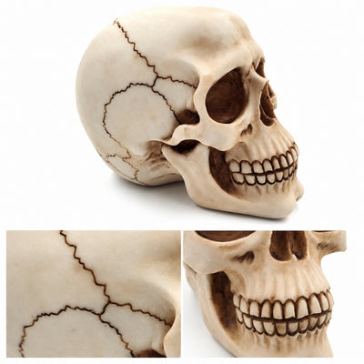 Dekorativní figurka lebka 15 cm - MC-30685