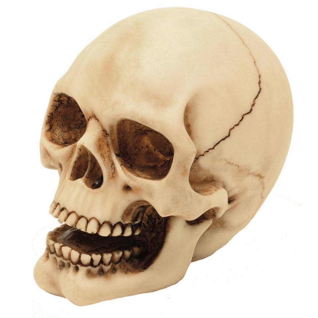 10 cm Skull Figurine with Custom Engraving – Hand-Painted Polyresin Gothic and Dark Style Decoration Gift