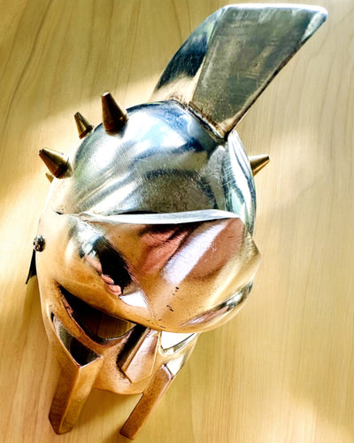 Gladiatoriška riterio kaukė „Sparta“ - galimybė personalizuoti graviravimu