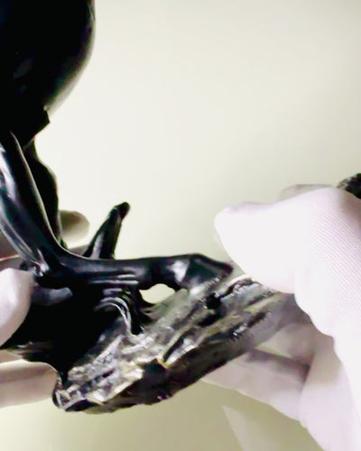 Juodoji Perla - Arklio Skulptūra Elegancija Judesyje - Galimybė Graviruoti